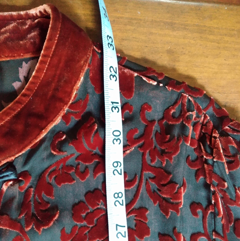 Yi Lin Sheer Silk/Velvet Mandarin Collar Tunic - Picture 10 of 11